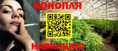 гашик Малгобек