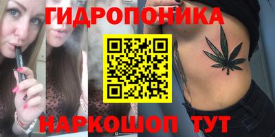гашик Малгобек